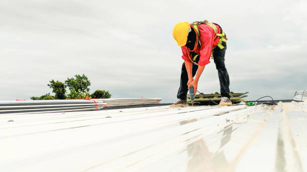 Best Skylight Installation and Repair  in Jackson, CA